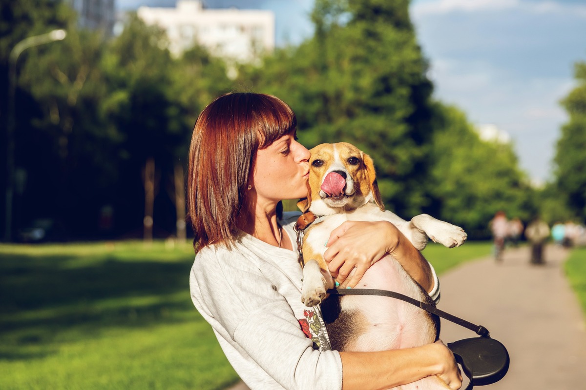 Beagle being given a kiss on the cheek by woman holding him in her arms